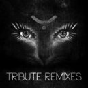 Yoji Biomehanika - Never End (Festuca Remix)