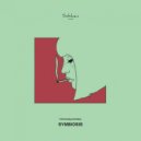 Chronosymmetry - Symbiosis (Yuji Sato Remix)