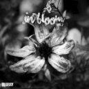David Gunter - Raldery (Original Mix)
