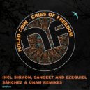Holed Coin - Cries of Freedom
