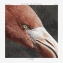 Erkka - Plastic Flamingos (Original Mix)
