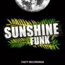 Disko Junkie - Promised Land (Discotron \'Funk Flex\' Remix)