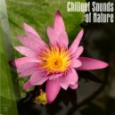 Innate Joy - Morning Instinct (Original Mix)