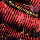 Champirolls - Hybrid Connection