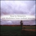 Mindfulness Neuro Feedback Selection - Joule & Nervousness (Original Mix)