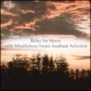 Mindfulness Neuro Feedback Selection - Temperature & Positive Thinking