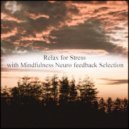 Mindfulness Neuro Feedback Selection - Encounter & Delicateness (Original Mix)