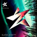 Neil Bamford - Northern Rose (Radio Edit)