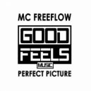 MC Freeflow - Perfect Picture