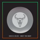 SUSIO & Delos - What You Want (Original Mix)