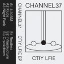 Channel37 - Crackdown