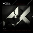Mike Montano - Evolution of Sound (Original Mix)