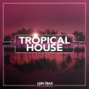 Tropical House - Alltimer