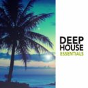 2017 Deep House - Topper (Original Mix)
