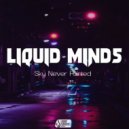 Liquid Minds - Dream World