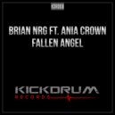 Brian NRG ft. Ania Crown - Fallen Angel (Radio Edit)