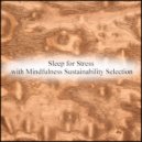 Mindfulness Sustainability Selection - Thursday & Contingency Map (Original Mix)