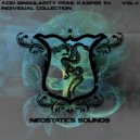 Stevems - Polonaise Fourth Dimension