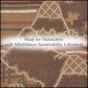 Mindfulness Sustainability Laboratory - Freesia & Energy (Original Mix)