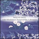 Mindfulness Sustainability Laboratory - Raphael & Sensitivity