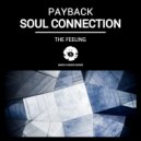 Payback & Soul Connection - Serenity (Original Mix)