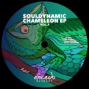 Souldynamic - Vatosoa