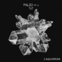 747 - Pangea
