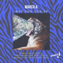 MarcoA. - Evolve