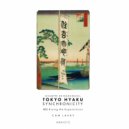 Cam Lasky - Tokyo Hyaku Synchronicity #55 Rising the Superstition (Original Mix)