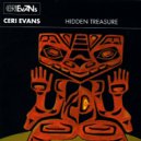 Ceri Evans & Sunship - Hidden Treasure