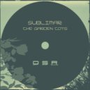 Sublimar - Trampoline (Original Mix)