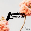 Cadenza (SA) - Flow