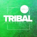 Shea Delany - Wookie (Original Mix)