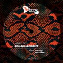Mister Loco - Roaming Around