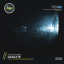 Carloz Afonzo - Namaste (Dennis N\'bakhaa Remix)