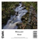 Ninjury - Brain Washed (Original Mix)