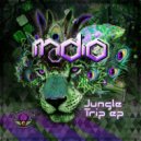 Indio (Trance) - Real World (Original Mix)