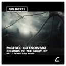 Michal Gutkowski, T.Picker - Vince Mosey (Original Mix)