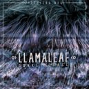 Llamaleaf - Melodius Coqui (Original Mix)