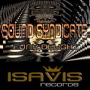 Sound Syndicate - Funk Delight (Original Mix)