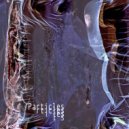 Transcrypt - Particle Displacement
