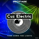Cuz Electric - Facts (Original Mix)