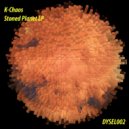 K-Chaos - Shadow Was Here