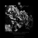 JustLocal - Persistence (Aleja Sanchez Remix)