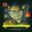 Below Bangkok ft. Mr. Sideburns - Detroit Ghost Hunter (Garden Party\'s Birds of Paradise Remix)