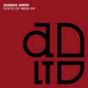 Siamak Amidi ft Nasrawi - United State of Roland (Original Mix)