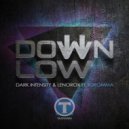 Dark Intensity & Lenorox ft JGromma - Down Low (Aximize Remix)