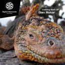 Dan Rotor - Der Dikke In Japan (Original Mix)