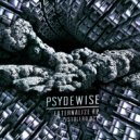 Psydewise - Analogue Session