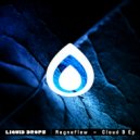 Magnaflow - Show you (Original Mix)
